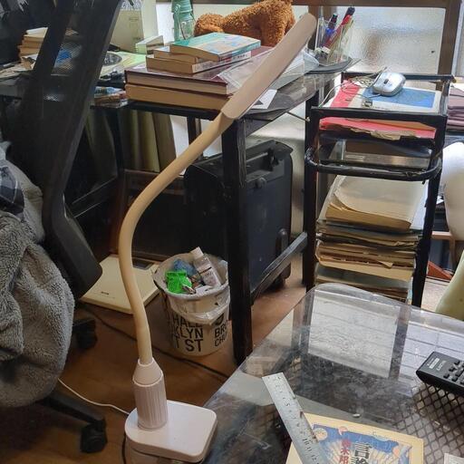 スタンドライト