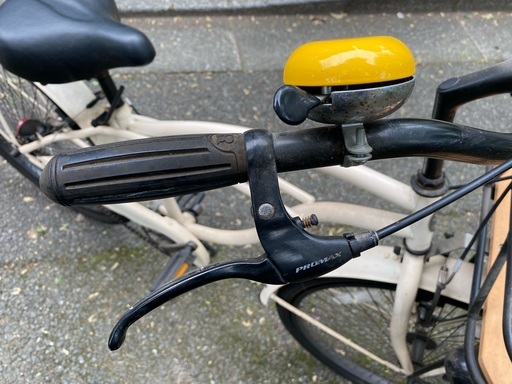 超激レア the PARKビーチクルーザー 電動 自転車 グリーン 激レア 男女兼用 the PARKビーチクルーザー 電動 自転車 グリーン