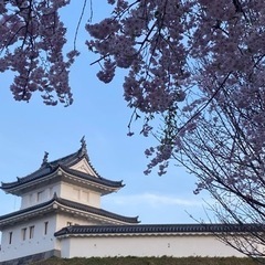 生活雑貨や服、試験教材をお譲りくださいm(_ _)m(色々求めてます