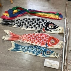 こいのぼり　鯉のぼり
