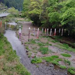 鯉のぼりを譲って下さい