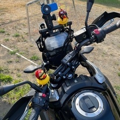 vストローム250 v strom250 absの画像