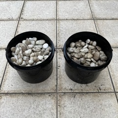 白色玉砂利（20-30mm）6Lバケツ2個