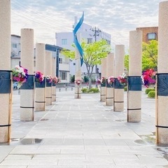 空間を彩るハンギングバスケット展