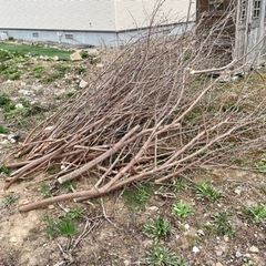 木　薪などに