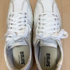 ECLIPS サイズ38の画像