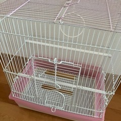 【決まりました】鳥かご　訳ありの画像
