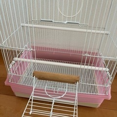 【決まりました】鳥かご　訳ありの画像