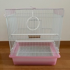 【決まりました】鳥かご　訳ありの画像