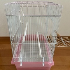 【決まりました】鳥かご　訳ありの画像