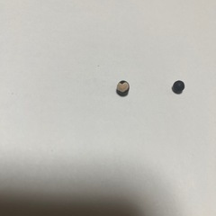 ふうせんかずらの種子