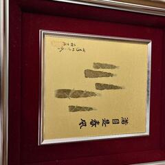 複数の画額Ａの画像