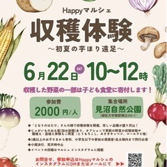 初夏の収穫体験開催