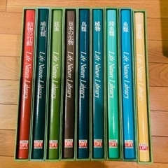 昆虫/動物/植物系【5/25まで出品】
