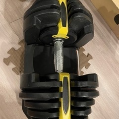 可変式ダンベル(5kg-40kg)×2、ベンチ台セットの画像