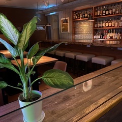 渋谷のオシャレなカジュアルBAR！NEWオープンの画像