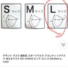 〔新品〕デサント　descent  マスク　レディースL  ２枚セットの画像