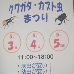 ヘラクレスヘラクレスオオカブトの画像