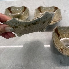 信楽　中鉢　和食器　　　の画像