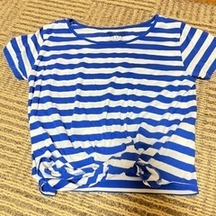 culots  ボーダー トップス