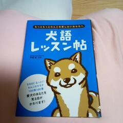 犬のレッスン