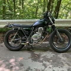 グラストラッカー250の画像