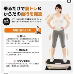 アルインコ(ALINCO) プログラム 3D 振動マシン 強力振動幅1.5cm バランスウェーブ 【立体振動】床保護マット付き フィットネスマシン FAV3017の画像