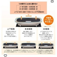 アルインコ(ALINCO) プログラム 3D 振動マシン 強力振動幅1.5cm バランスウェーブ 【立体振動】床保護マット付き フィットネスマシン FAV3017の画像