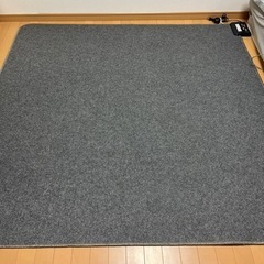 家具 カーペット/ホットカーペット