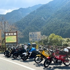 平日（火曜・水曜・木曜）のツーリングメンバー募集