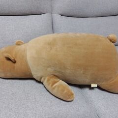 クマのぬいぐるみ