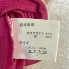 ミニーちゃん ピンク 夏 シースルー濃いピンクの画像