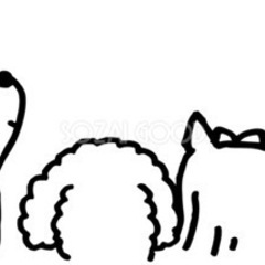 犬友募集！！