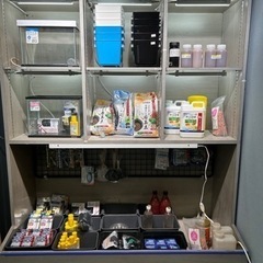メダカ飼育用具充実してきました！