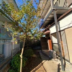 八王子市宮下町　戸建て賃貸（ベット可） − 東京都