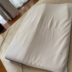 決まりました！トゥルースリーパー　枕　（カバーなし）
