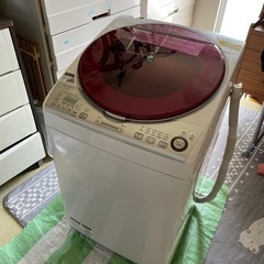 家電 生活家電 洗濯機