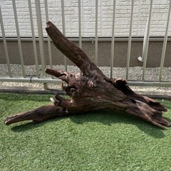 特大サイズ　高さ90cm　流木の画像