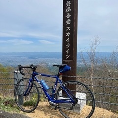 自転車 ロードバイク GIOS PURE DROP