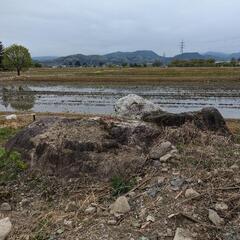 特大★庭石×4個★3メートル級★富山県滑川市★引取限定