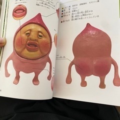 おもちゃ パズルの画像