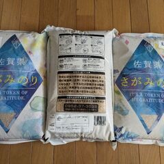 玄米16kg さがみのり