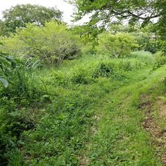 ★★　450坪の里山に囲まれた鴨川の大自然　★★ − 千葉県