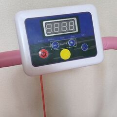 電動ルームウォーカーの画像