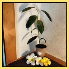【月一振り返り】