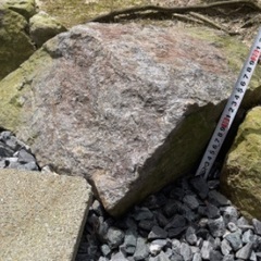 （決まりました）庭石 差し上げます （７）の画像