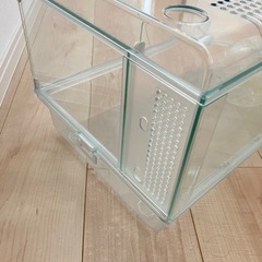 ハムスター　ケージ　グラスハーモニーの画像