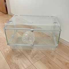 ハムスター　ケージ　グラスハーモニー