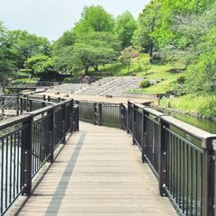 陽気な日差しと夏の足音。特別な休日を、ラダシア横浜岸根公園店で。