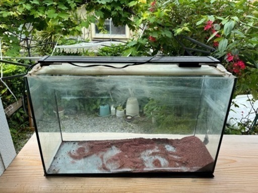 コトブキ水槽　卒業品　60㎝